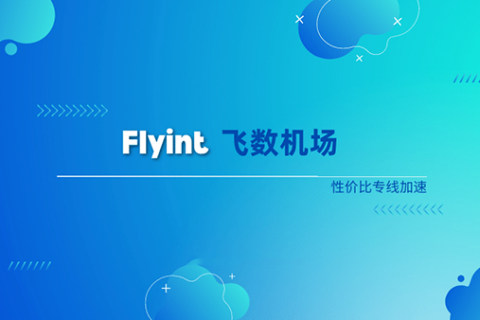Flyint飞数 - 支持流量计费不限时间的机场