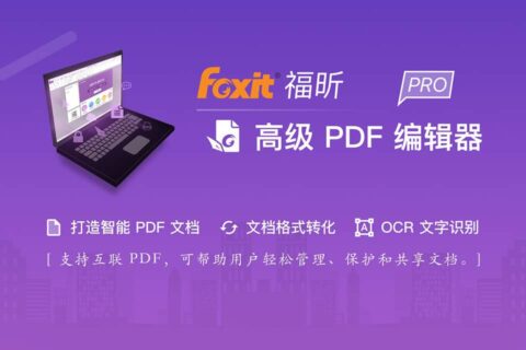福昕高级PDF编辑器专业版 Foxit PDF Editor Pro 2024.1.0 中文绿色精简版