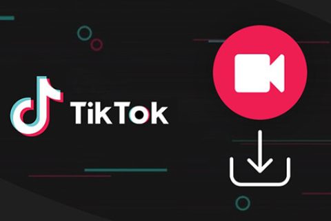 海外版抖音下载器：TikTok Downloader v3.3.5 破解版