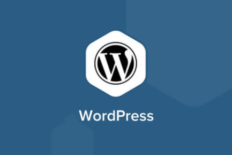 WordPress 用户登录后自动跳转到指定页面