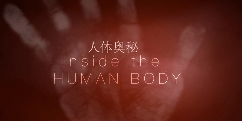 #BBC 纪录片 人体奥秘 Inside the Human Body (2011) 国语中字