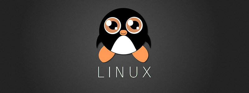 Linux 系统下常用的查看网络信息工具