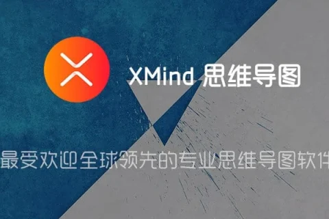 思维导图 XMind Android v22.11.174 直装内购特别版