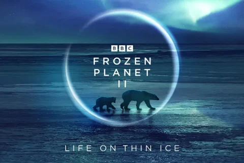 #BBC 冰冻星球 第一季/第二季 (2011~2022)