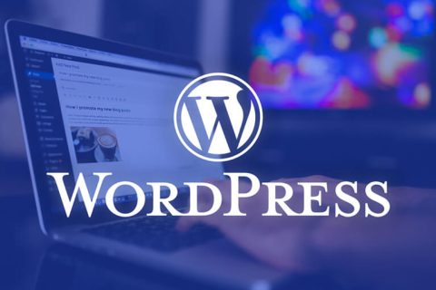 WordPress 所有外链在新标签打开