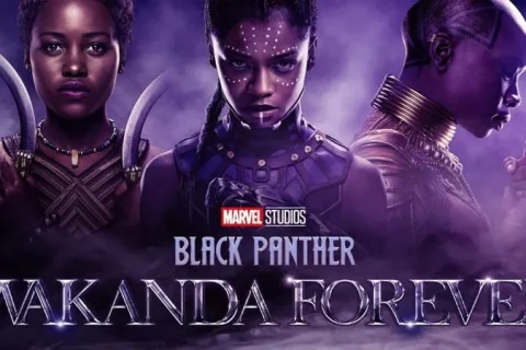 黑豹2 Black Panther: Wakanda Forever (2022) IMAX 1080P 国语版 中英双字