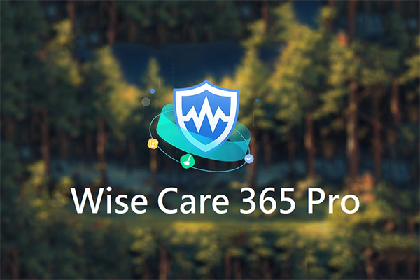 Wise Care 365 Pro v6.7.2 精简优化版绿色单文件版