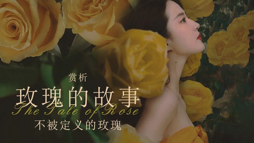玫瑰的故事 (2024) 4K 国语中字 豆瓣: 7.1 #刘亦菲 #佟大为 #林更新 #万茜